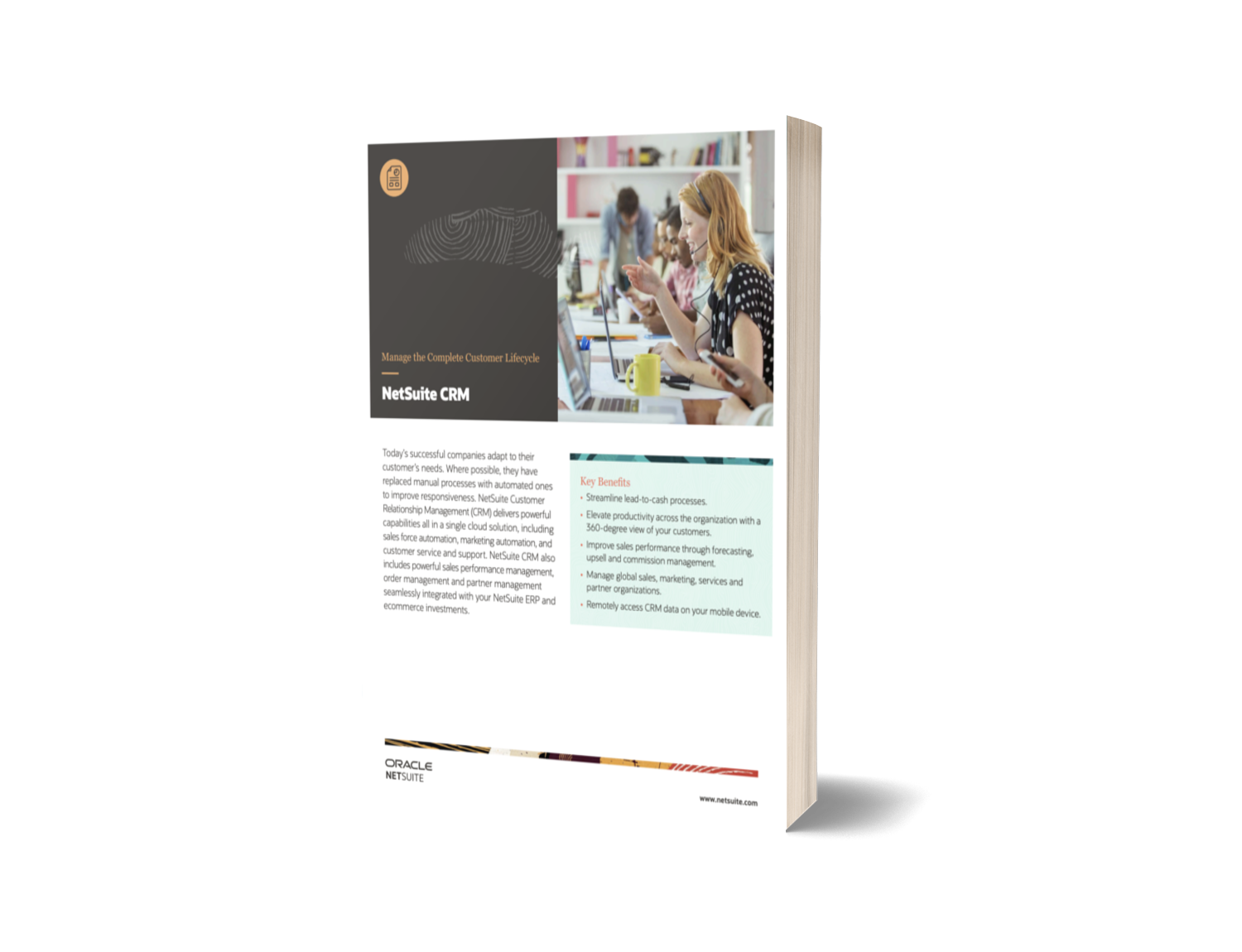 NetSuite CRM