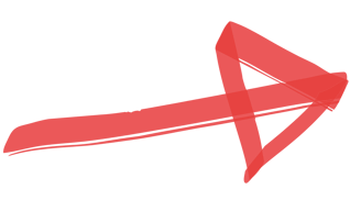 NetSuite Red Arrow